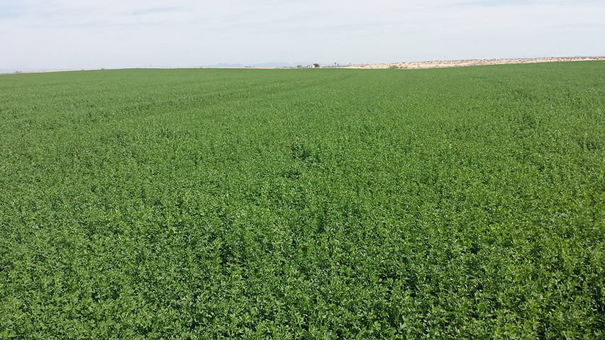 We increased our Production Capacity.